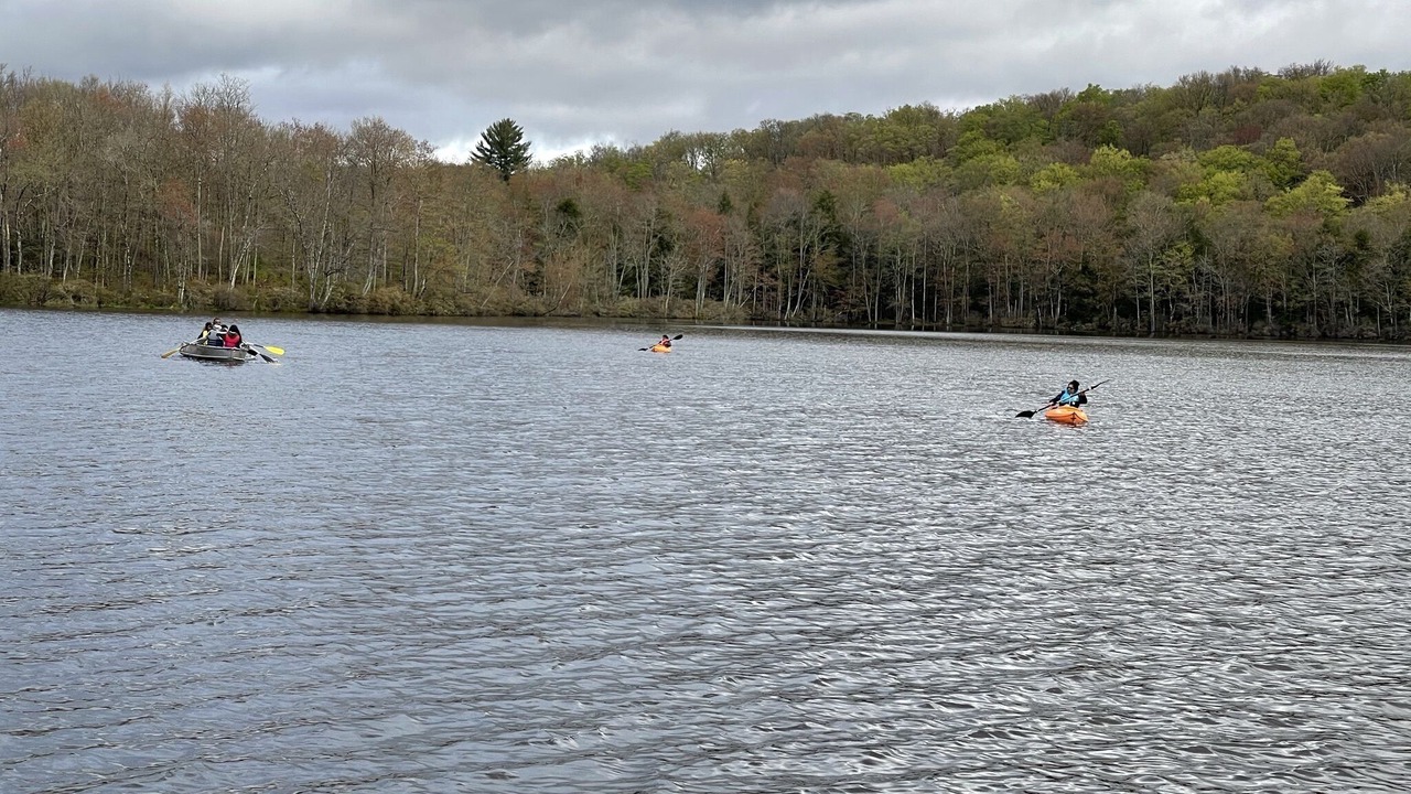 Photo of Others in Swan Lake