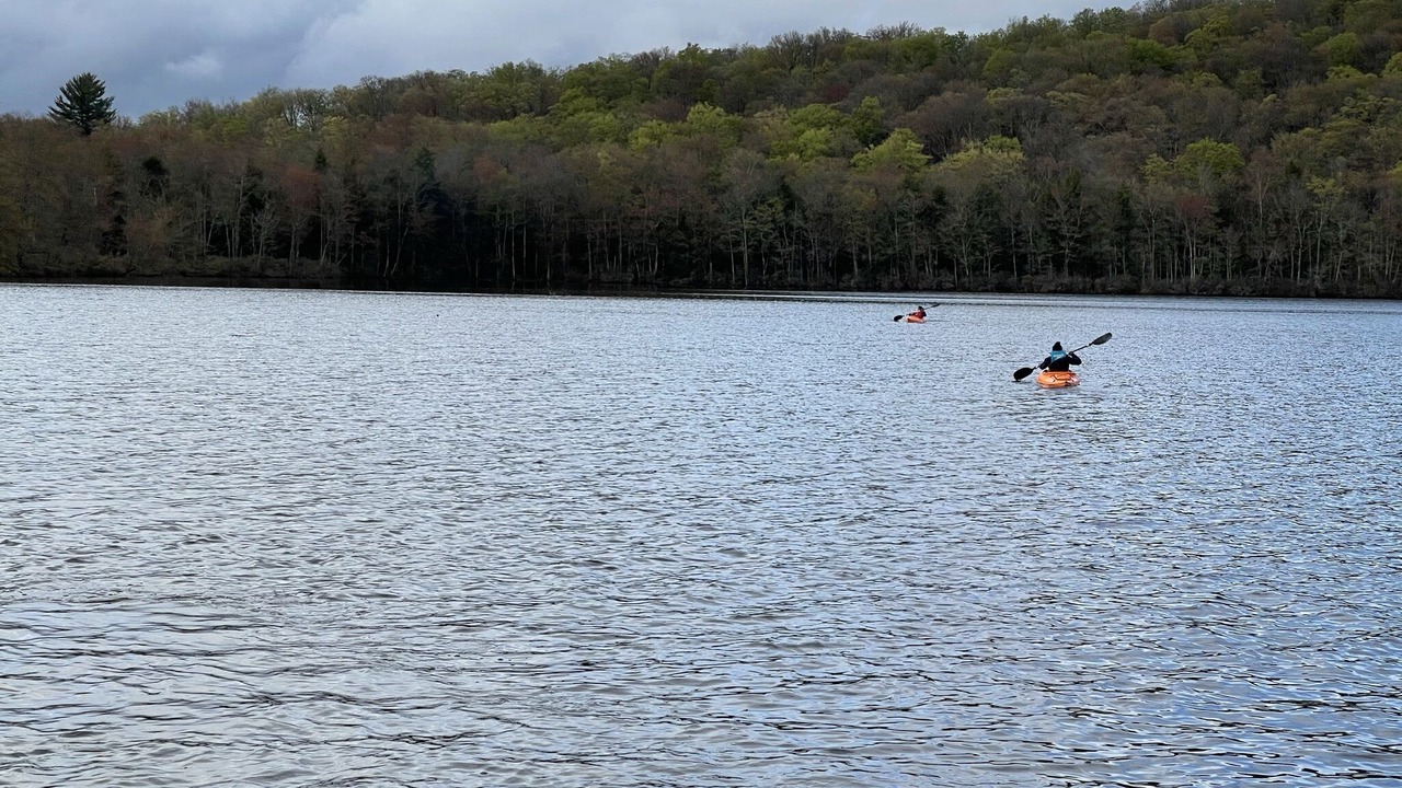 Photo of Others in Swan Lake