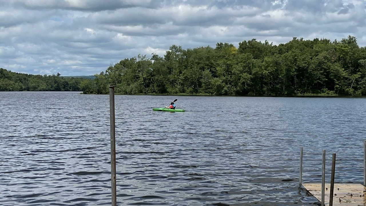 Photo of Outdoor in Swan Lake