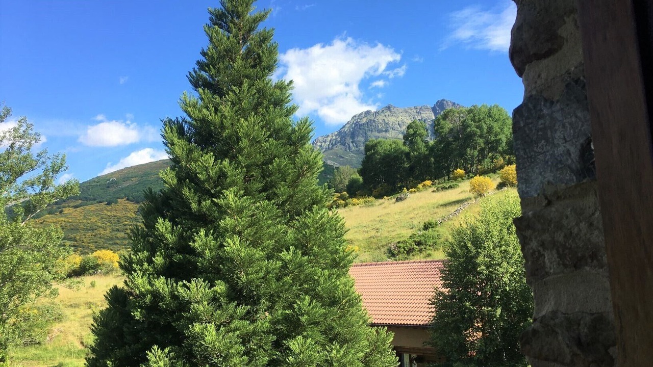 Photo of Others in Triollo