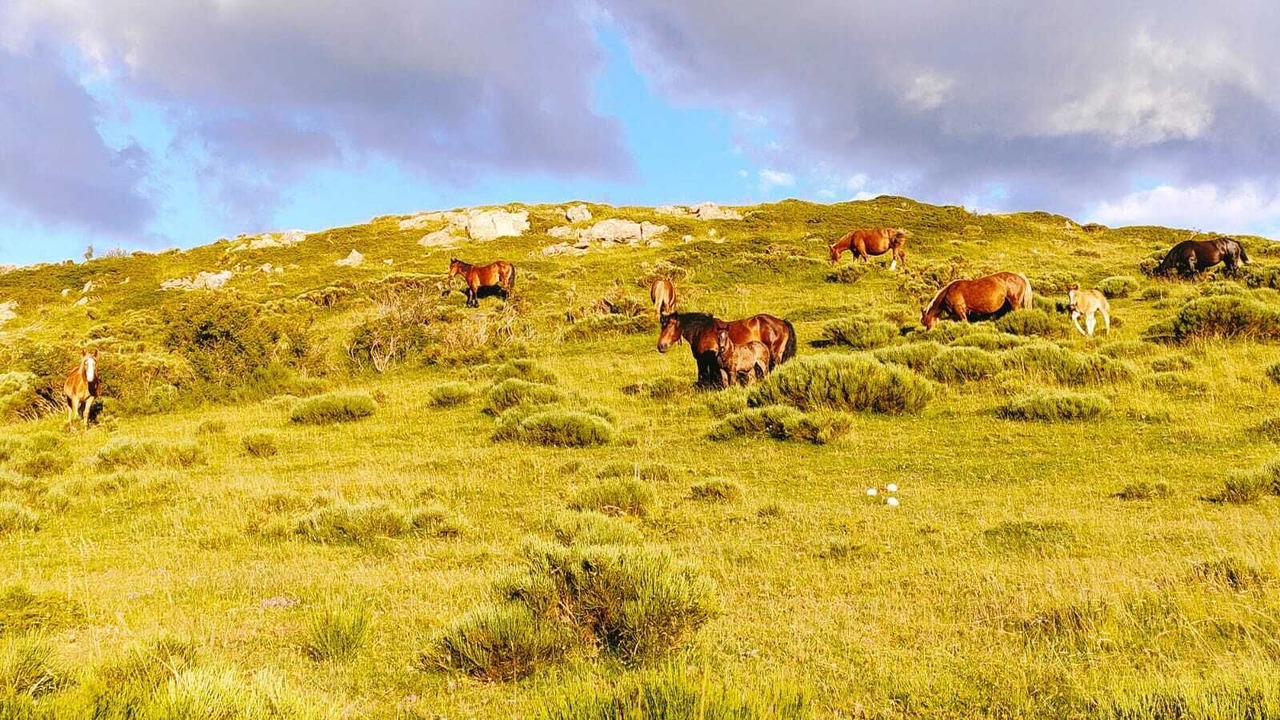 Photo of Outdoor in Triollo