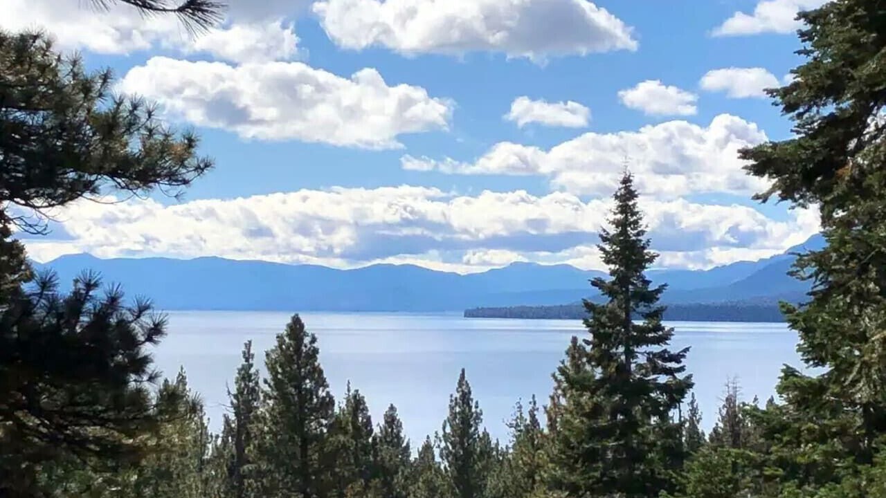 Photo of Others in Tahoe Woods