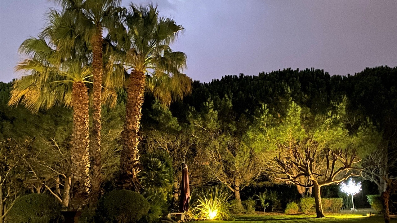 Photo of Outdoor in Saint-Nazaire