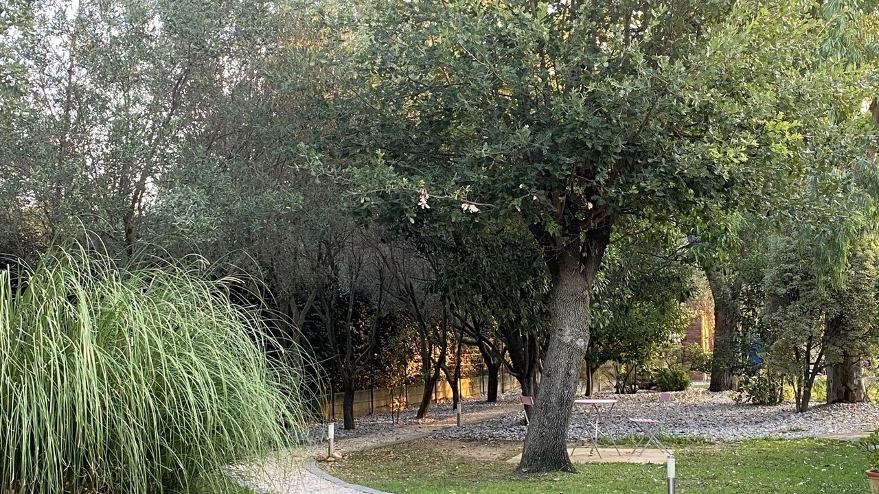 Photo of Outdoor in Saint-Nazaire