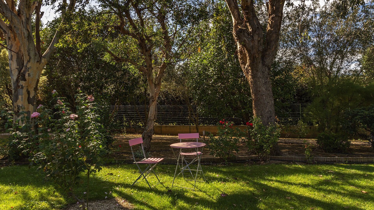 Photo of Outdoor in Saint-Nazaire