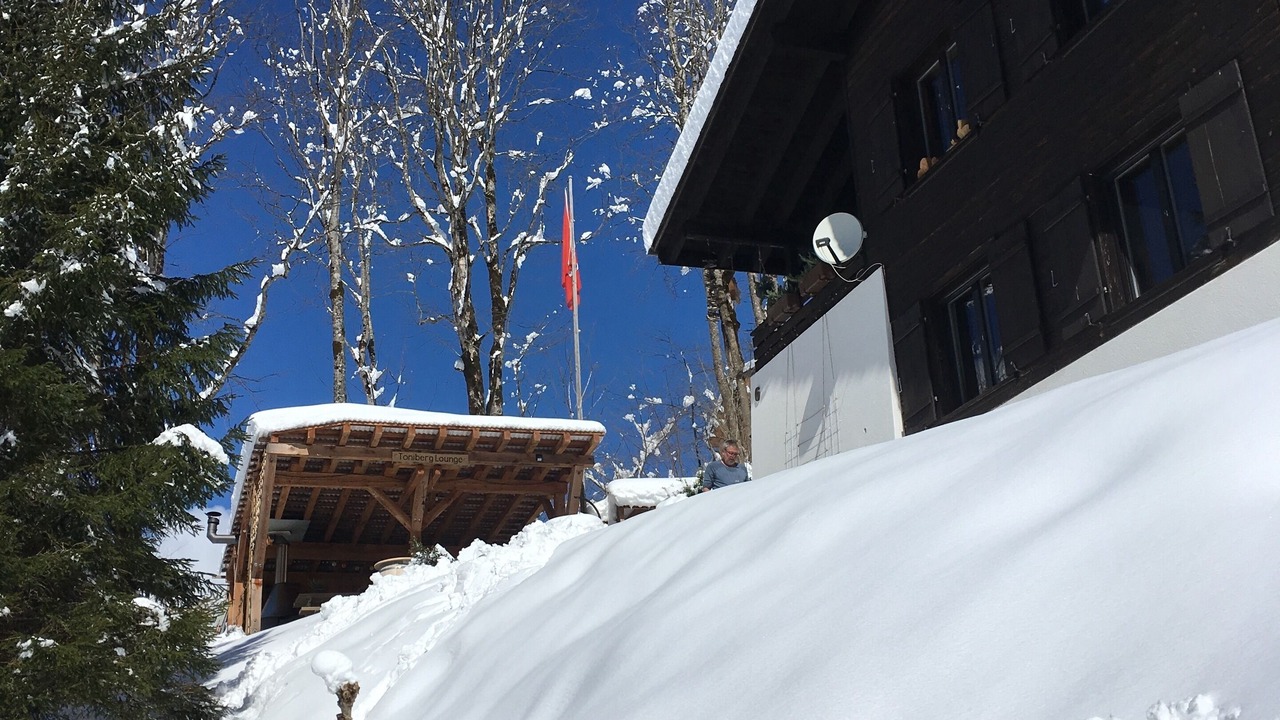 Photo of Outdoor in Elm
