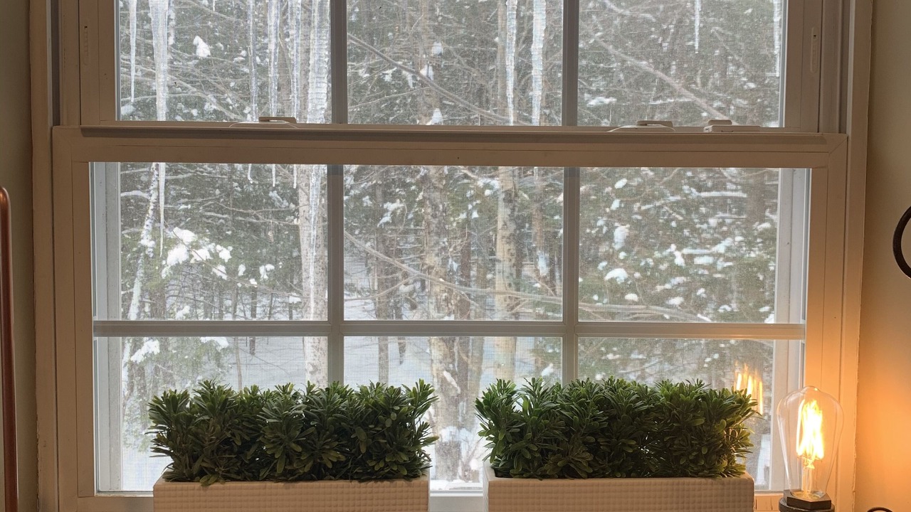 Photo of Others in Parksville