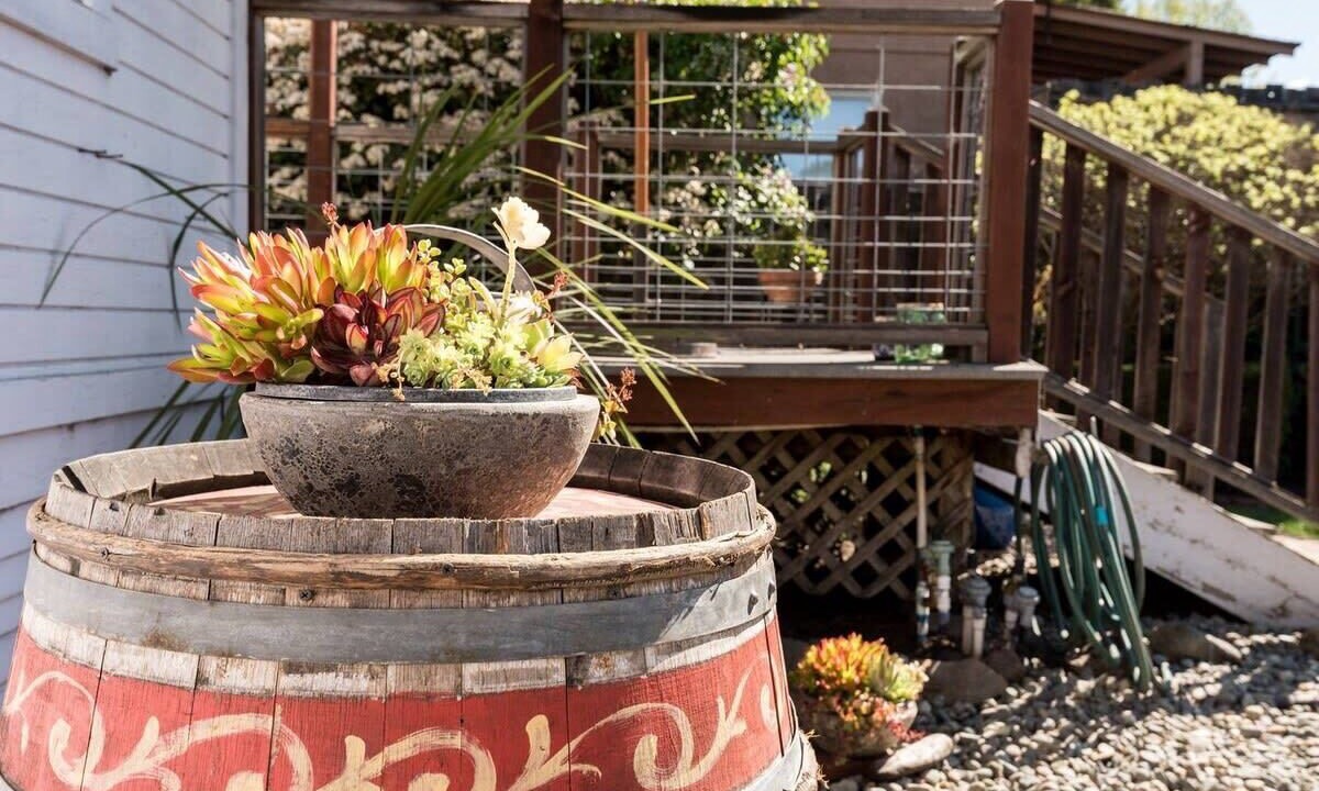 Photo of Outdoor in Santa Rosa