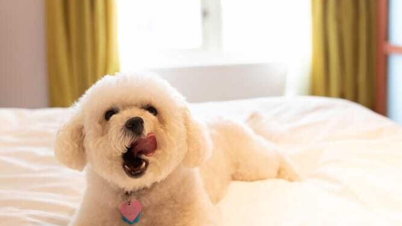 Photo of Others in Union Square