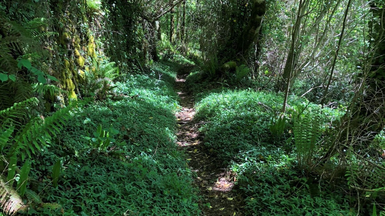 Photo of Outdoor in Cambounes