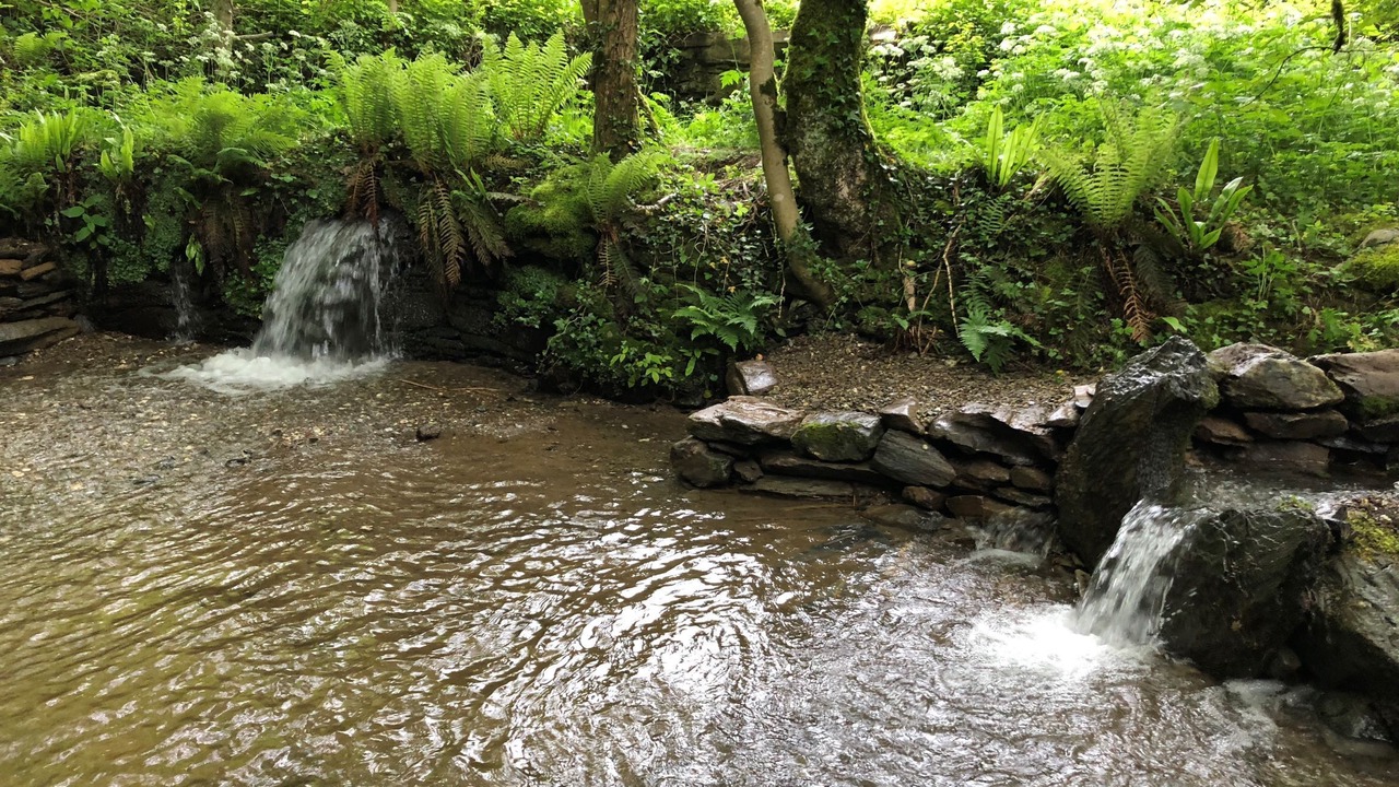 Photo of Outdoor in Cambounes
