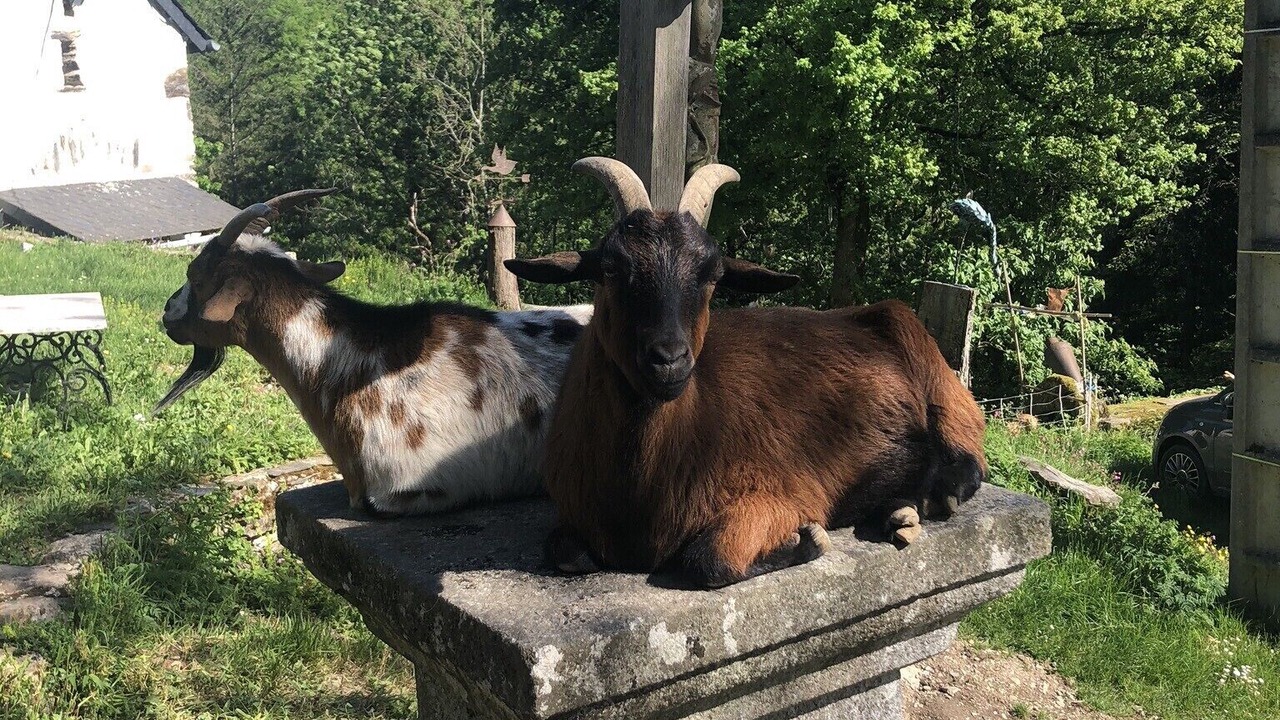 Photo of Outdoor in Cambounes