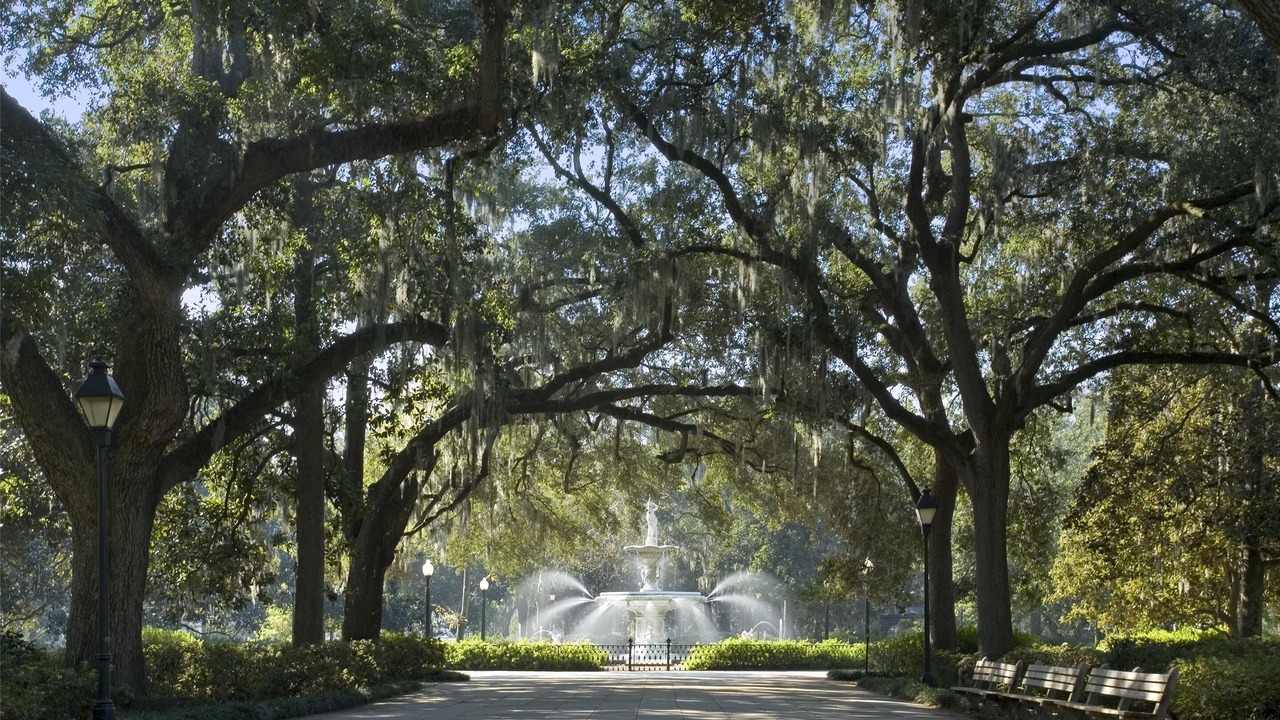 Photo of Others in Historic District - North