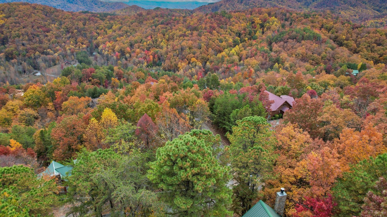 Photo of Others in Gatlinburg