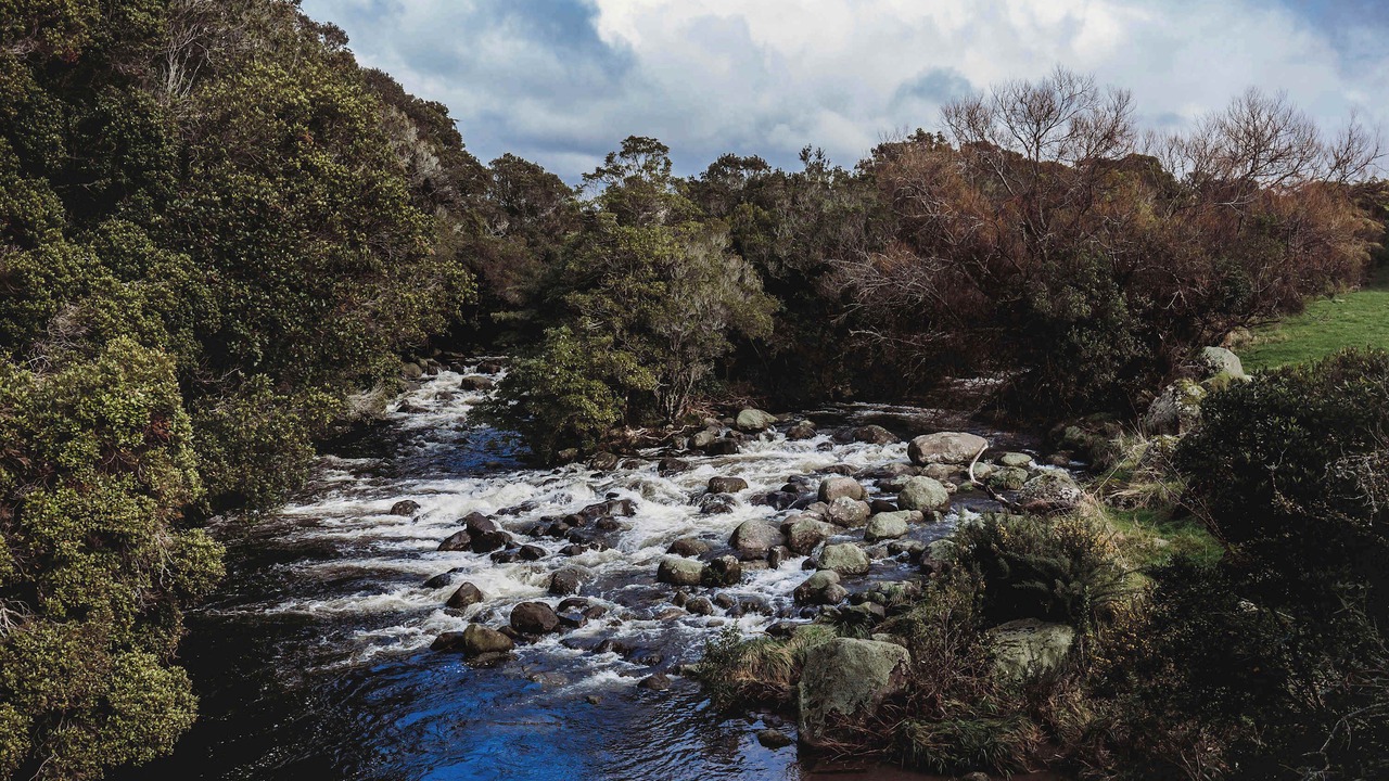 Photo of Others in Egmont Village