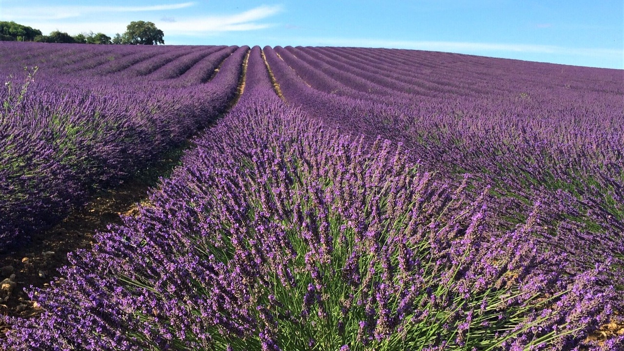 Photo of Others in Moussac