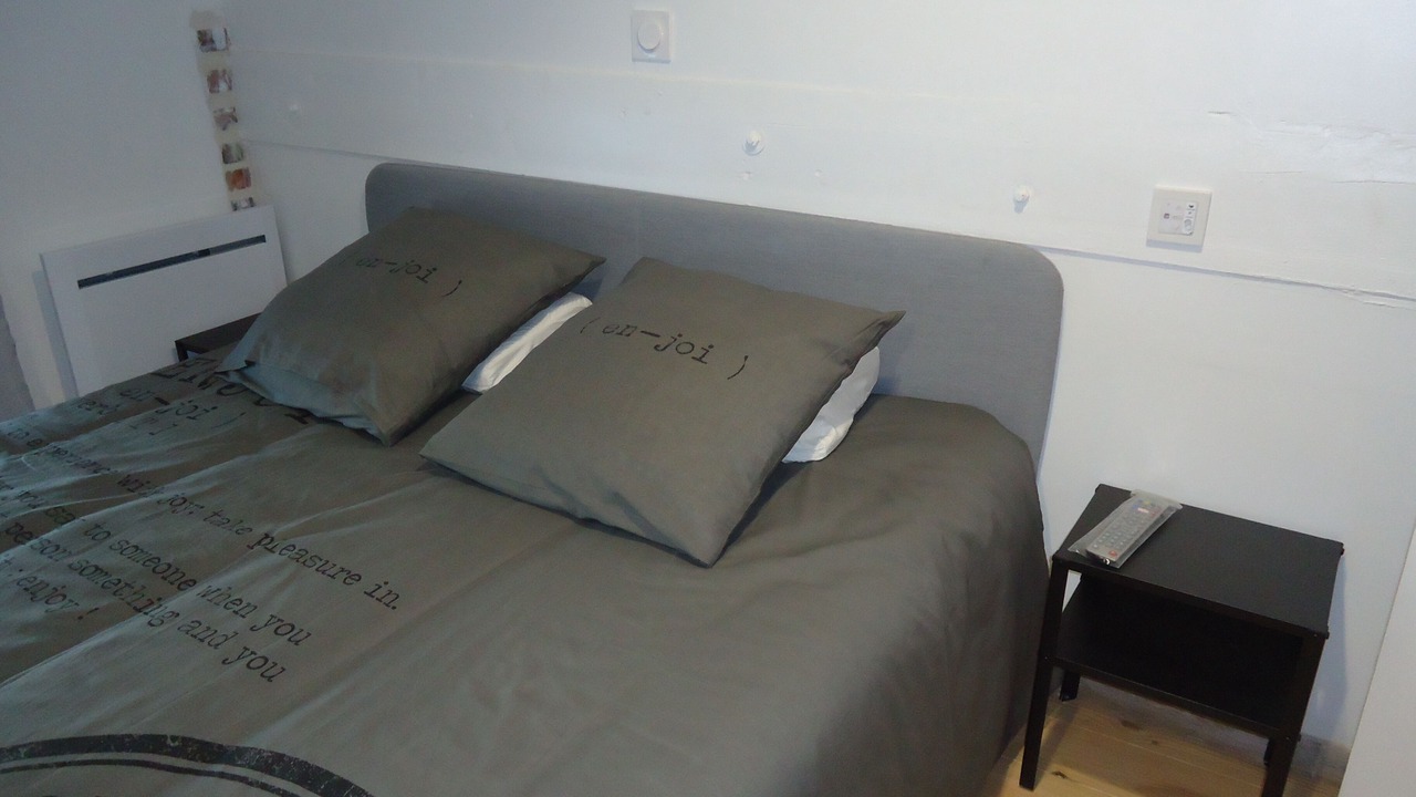 Photo of Bedroom in Tarbes