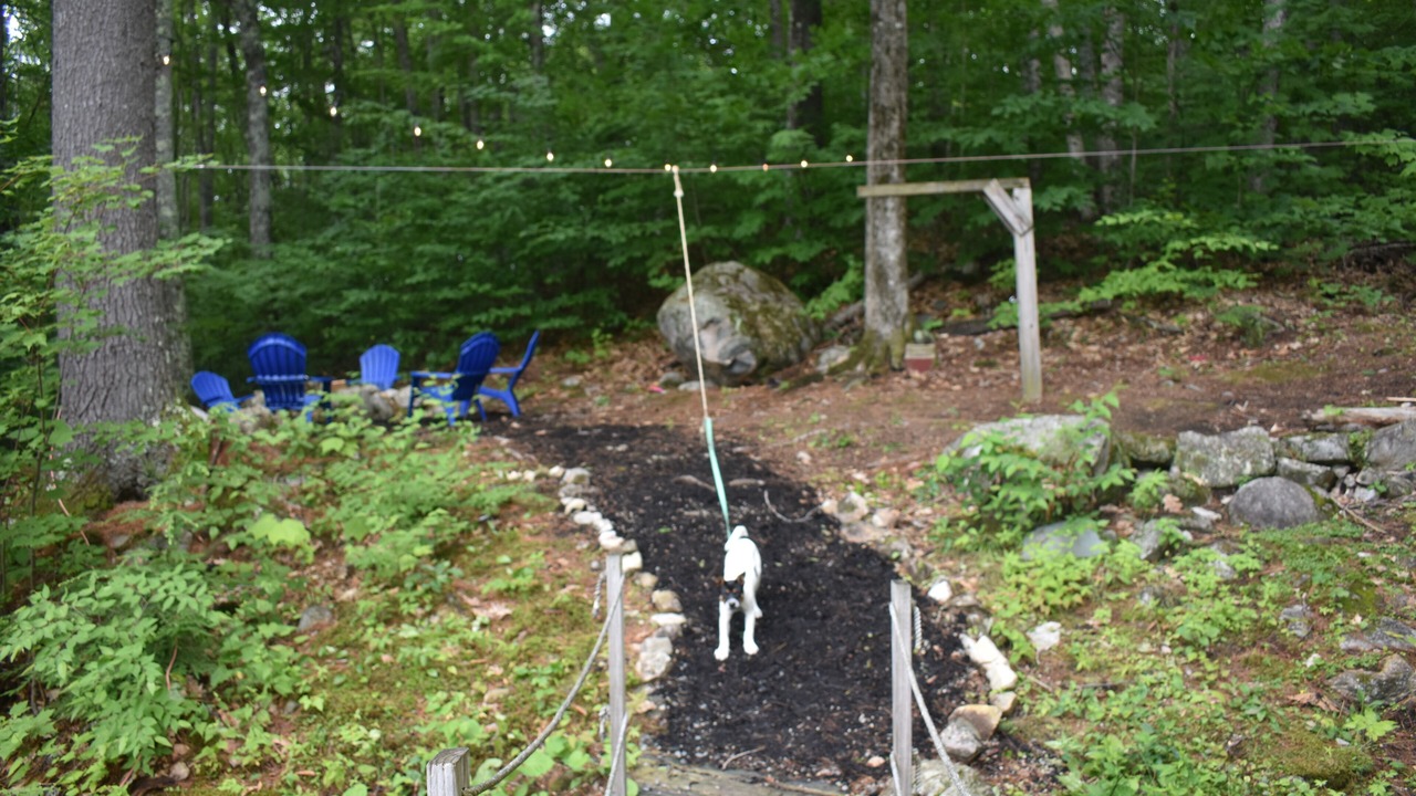 Photo of Others in Alton Bay