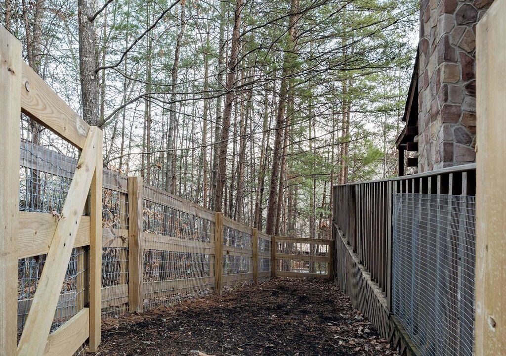 Photo of Outdoor in Pigeon Forge