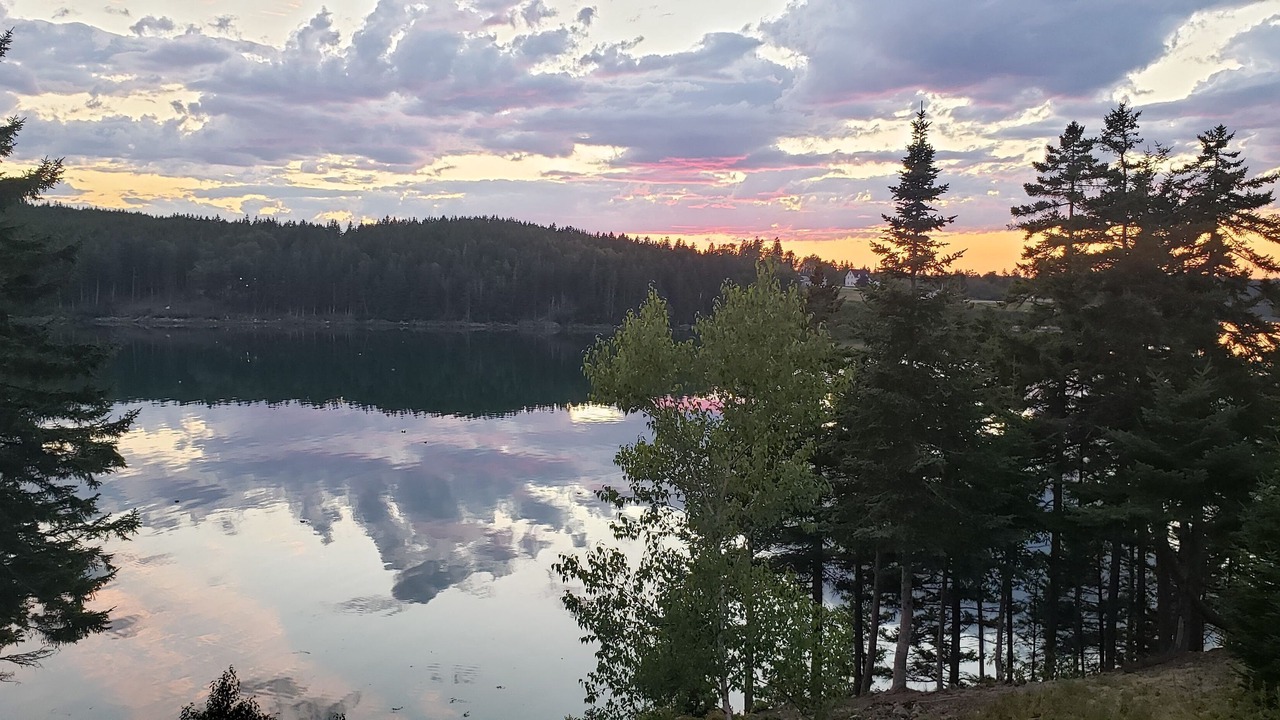 Photo of Outdoor in Roque Bluffs