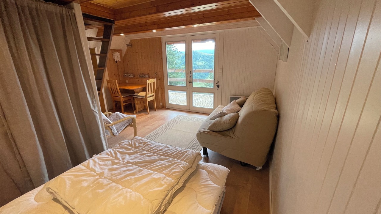 Photo of Livingroom in Guzet Neige