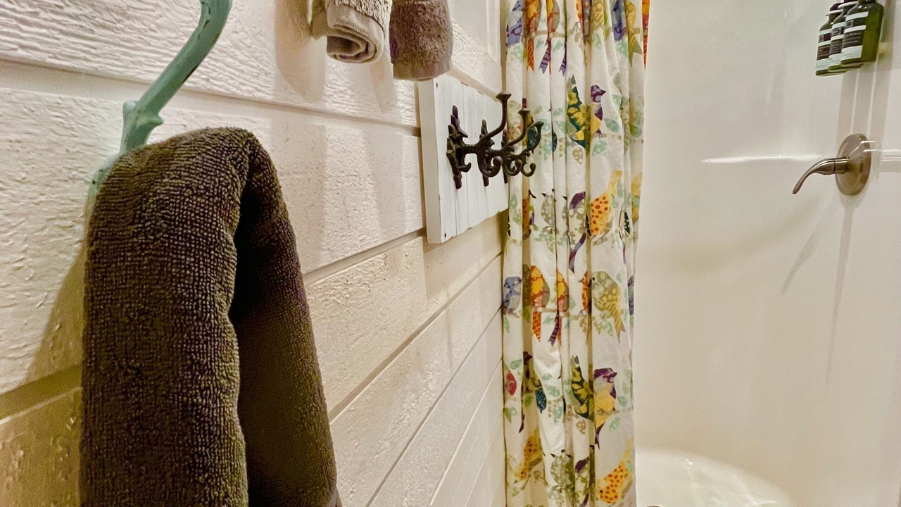 Photo of Bathroom in Dripping Springs
