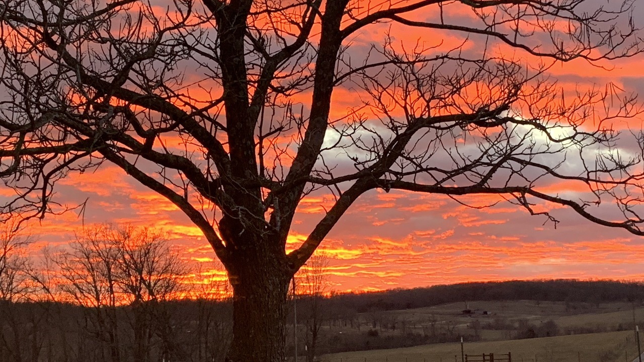 Photo of Outdoor in Elkland