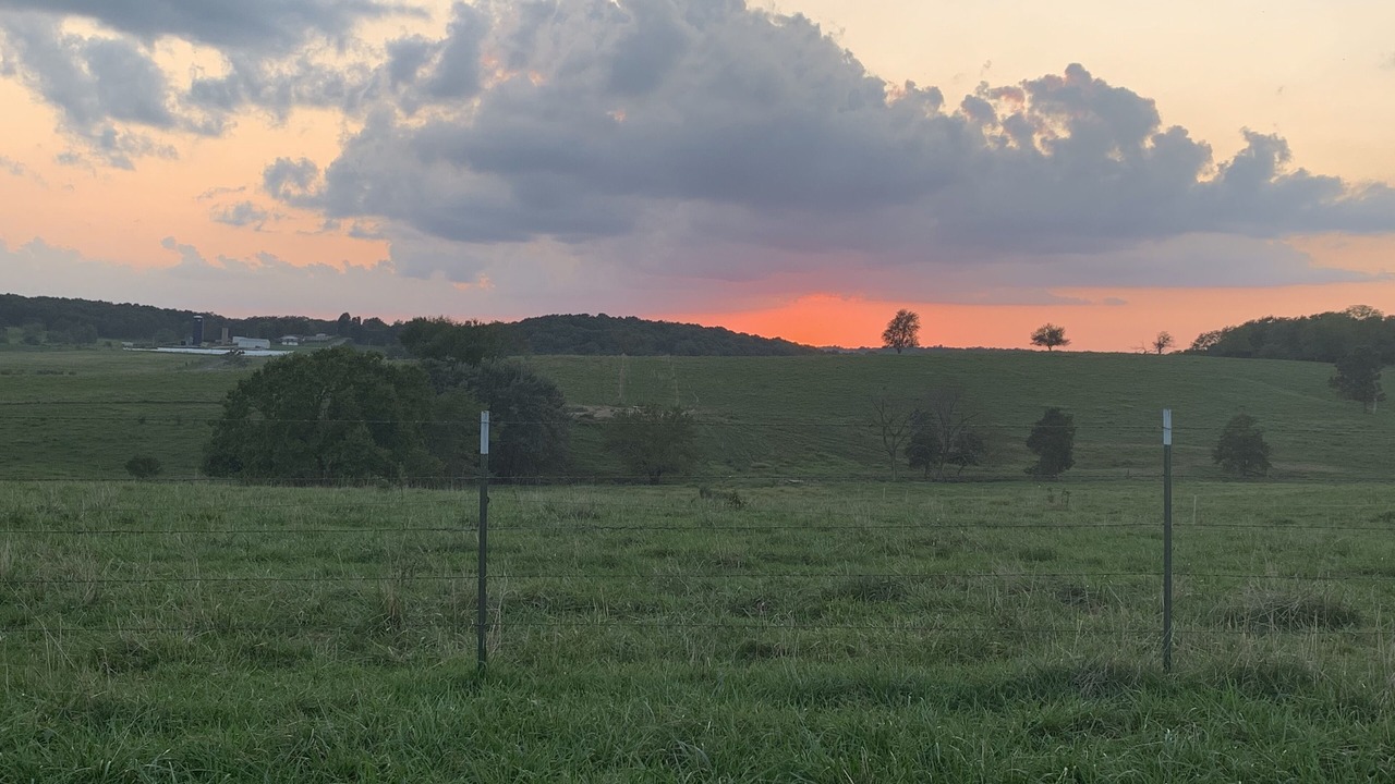 Photo of Outdoor in Elkland