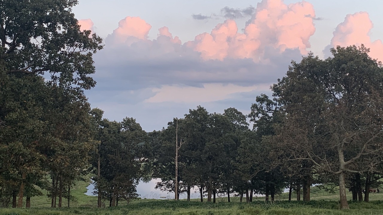 Photo of Outdoor in Elkland