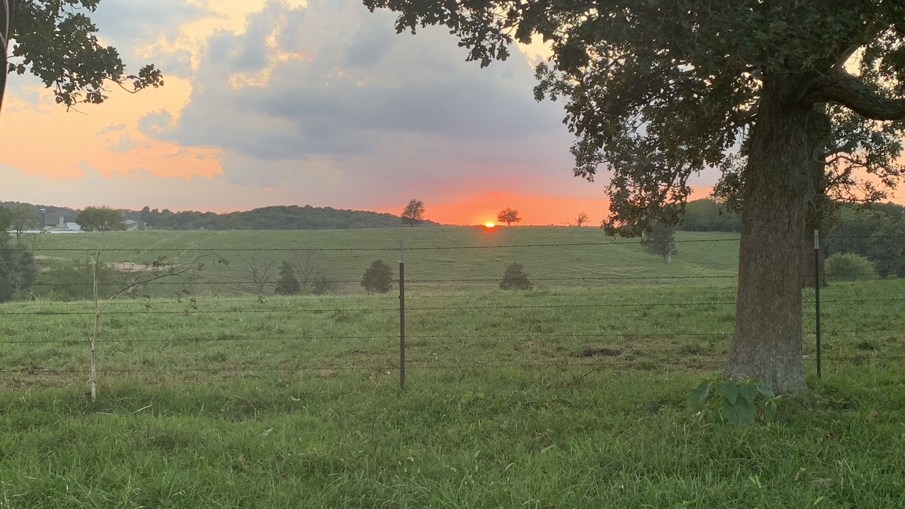 Photo of Outdoor in Elkland