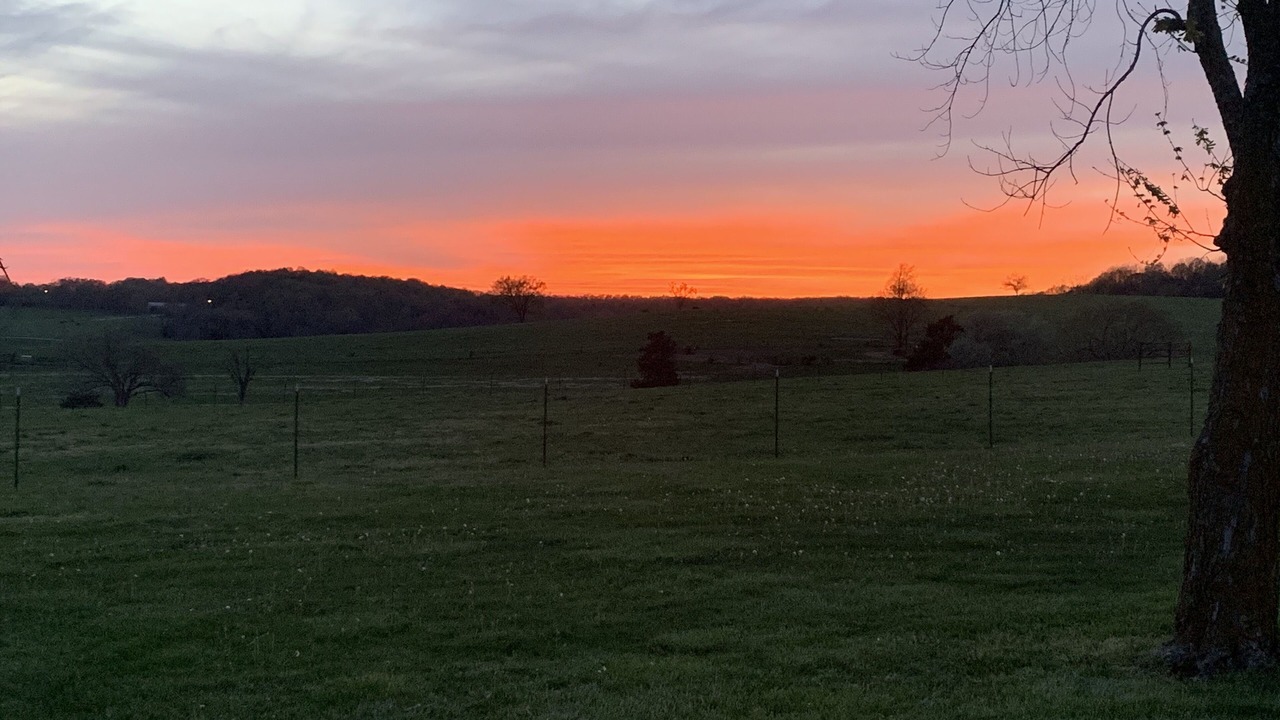 Photo of Outdoor in Elkland