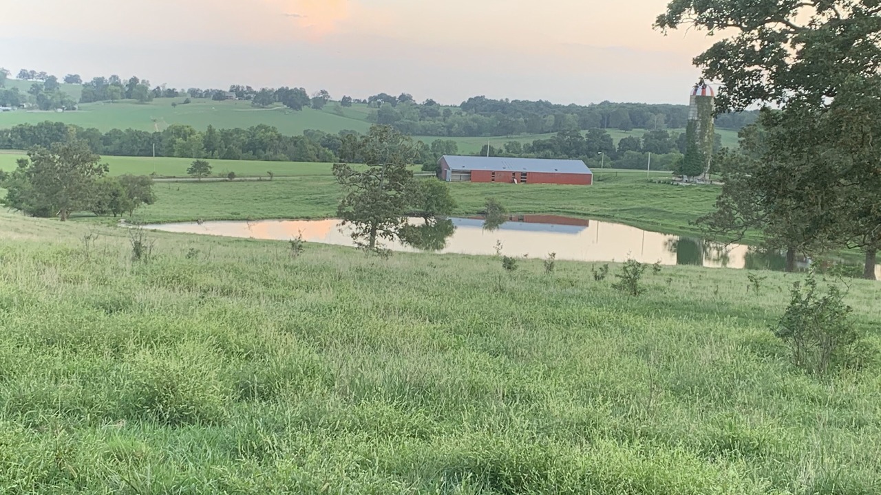 Photo of Outdoor in Elkland