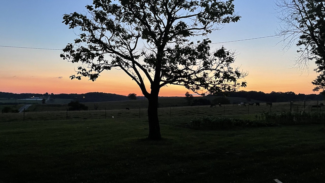 Photo of Outdoor in Elkland