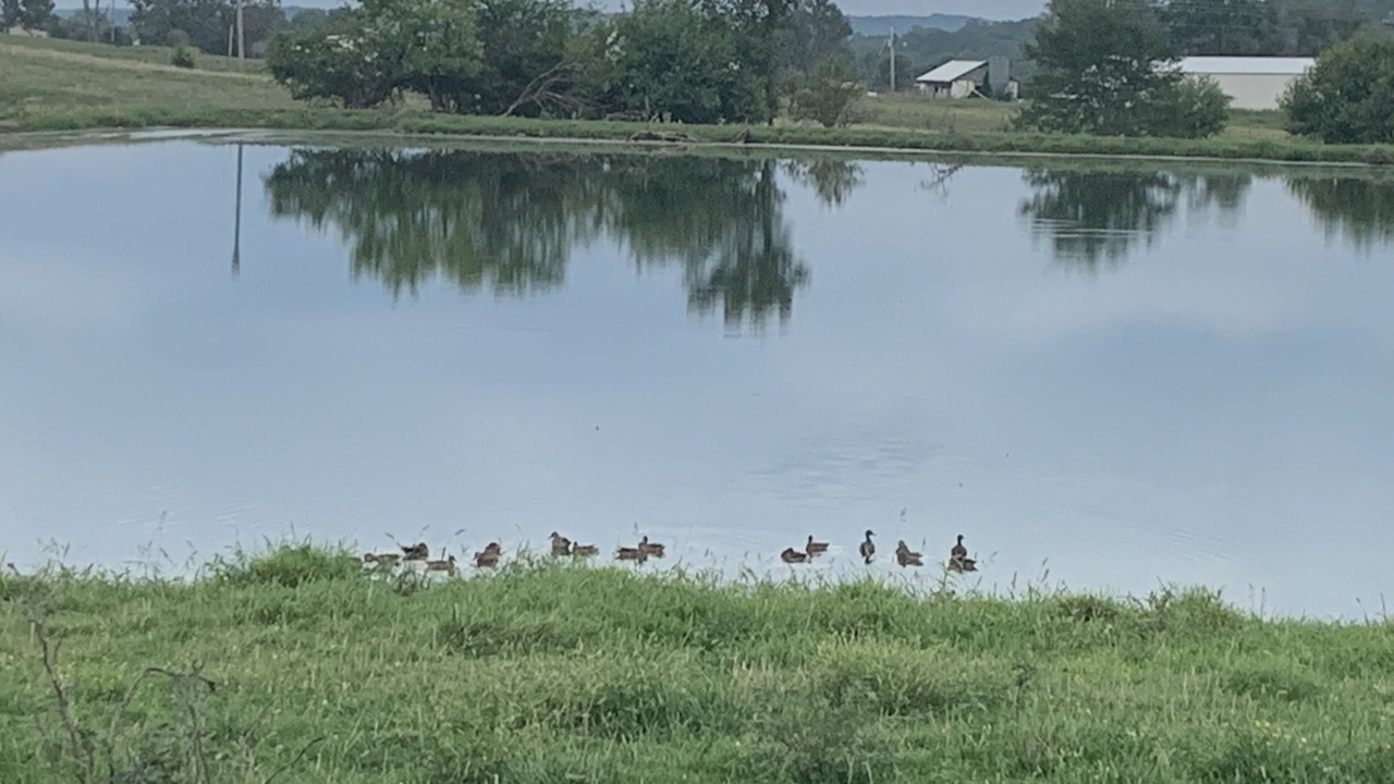 Photo of Others in Elkland