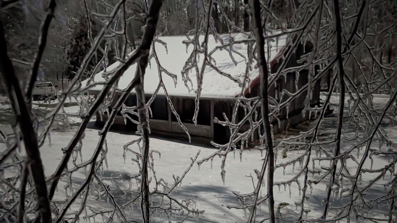 Photo of Others in Fairview