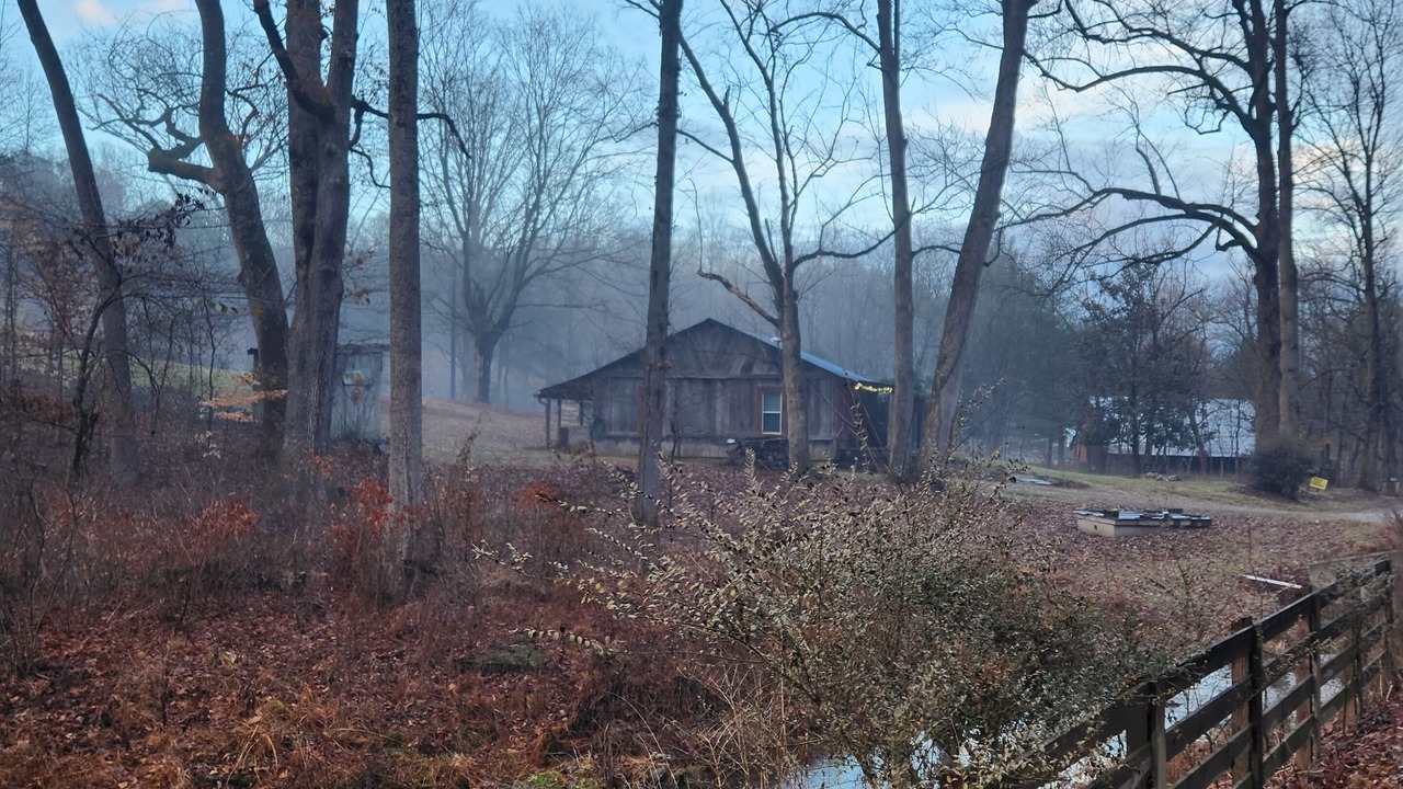 Photo of Outdoor in Fairview