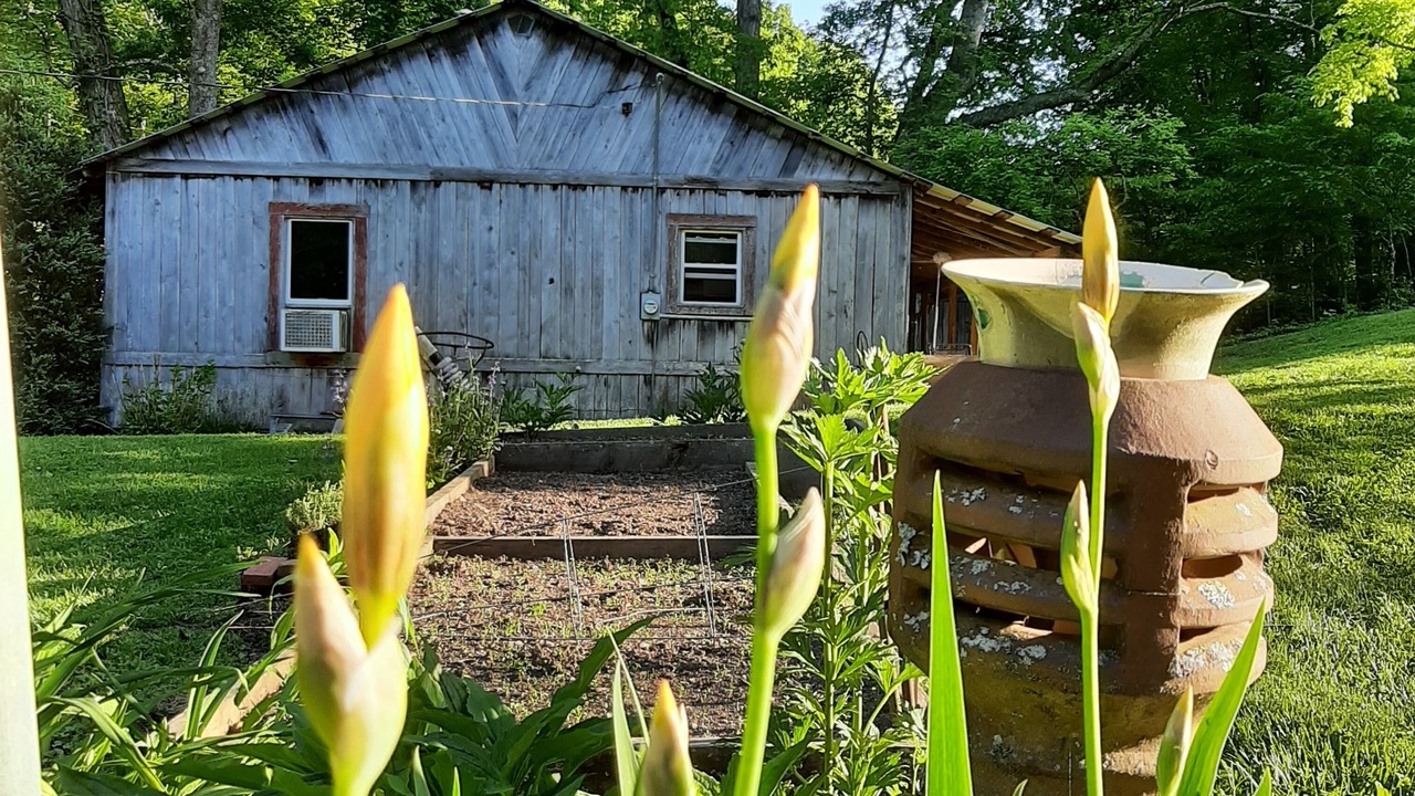 Photo of Outdoor in Fairview