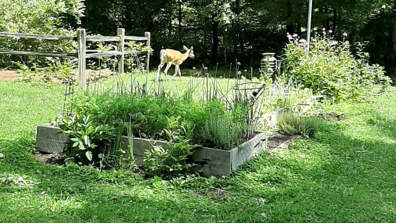 Photo of Outdoor in Fairview
