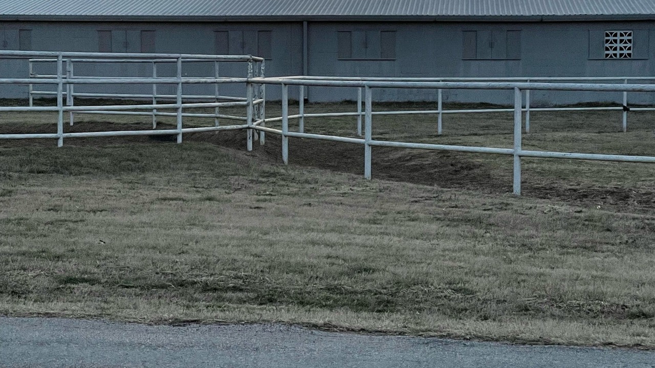Photo of Others in Aubrey