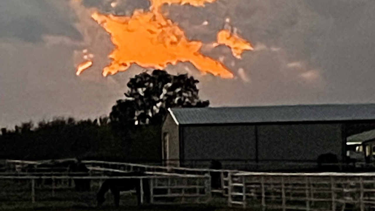 Photo of Outdoor in Aubrey