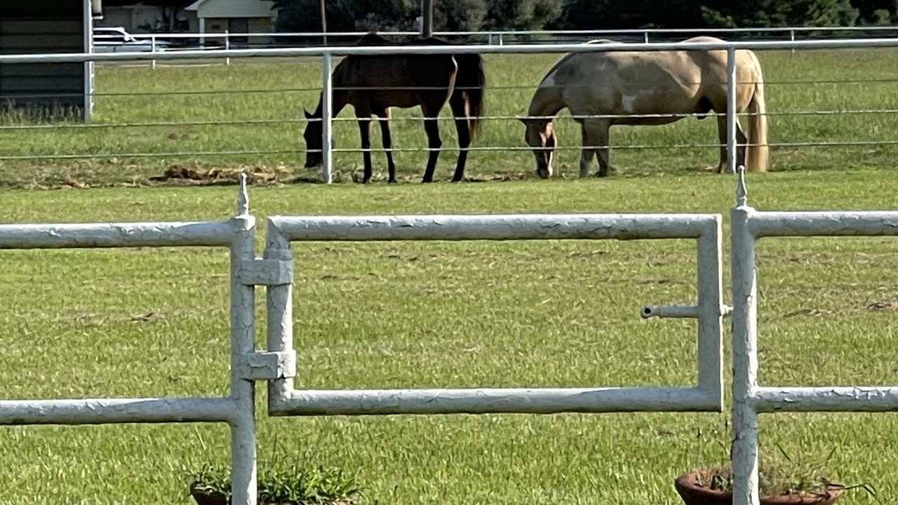Photo of Outdoor in Aubrey