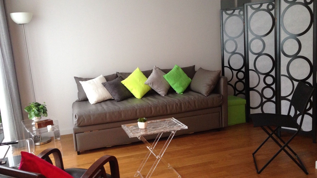 Photo of Livingroom in Passy