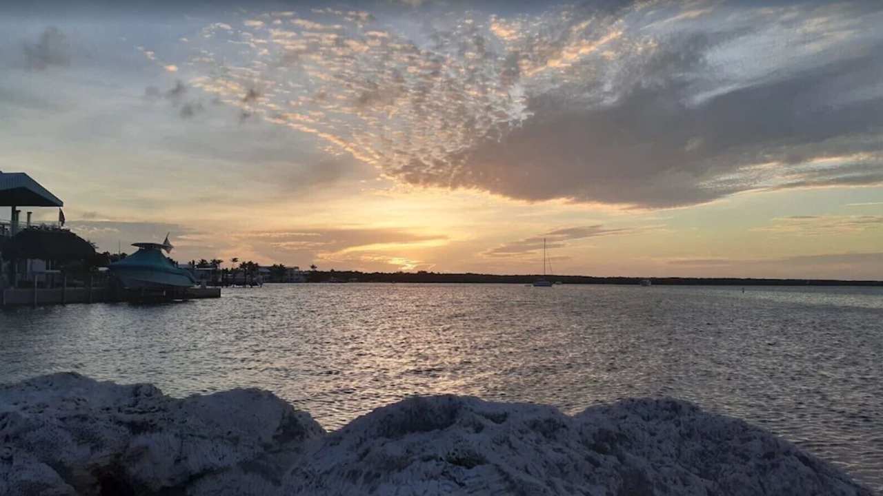 Photo of Others in Key Largo Village