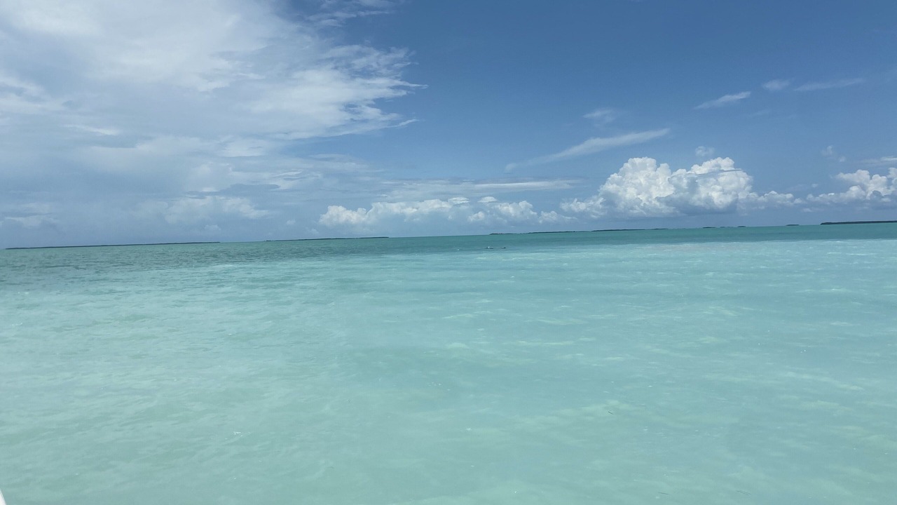 Photo of Others in Key Largo Village