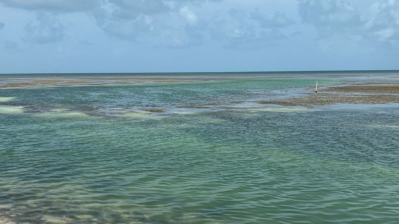 Photo of Others in Key Largo Village