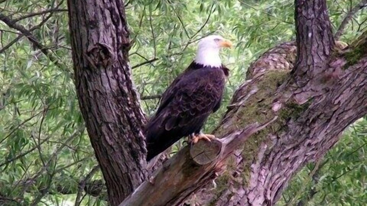 Photo of Outdoor in Maryland