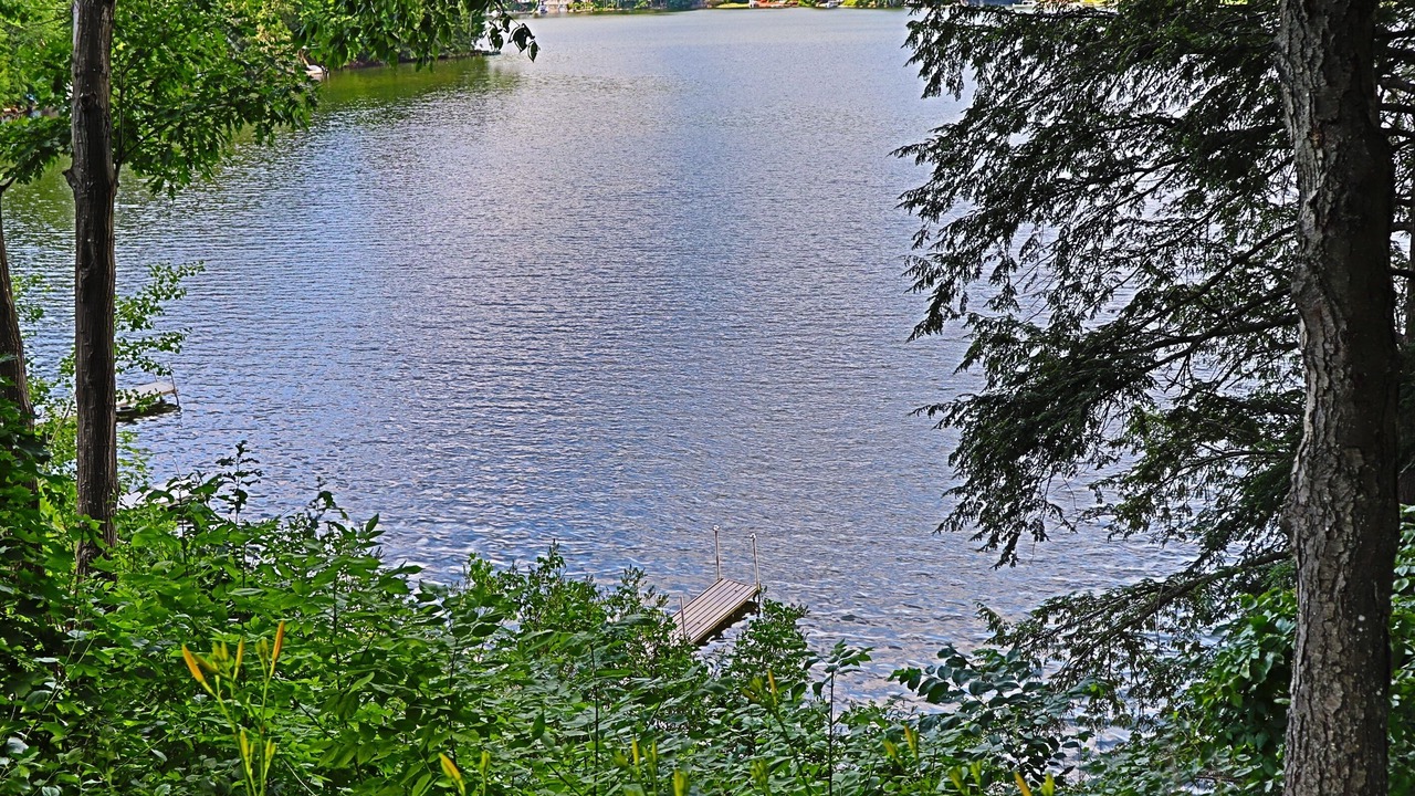 Photo of Others in Maryland