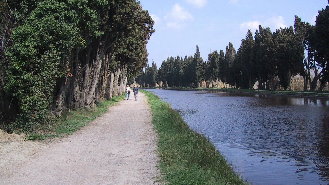 Photo of Others in Thezan-les-Beziers