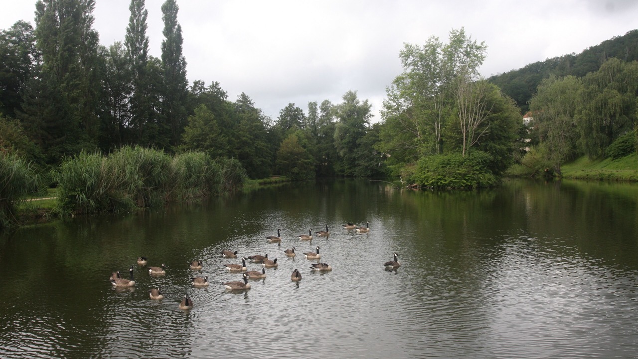 Photo of Outdoor in Nouzonville