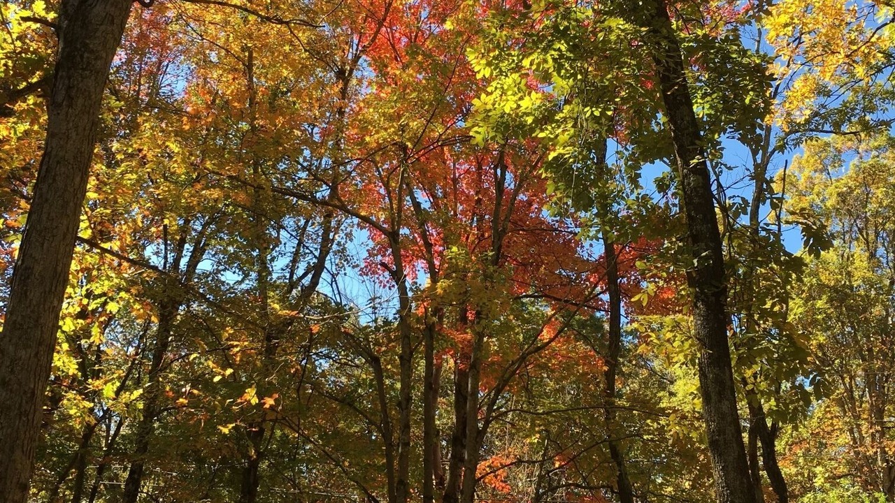 Photo of Others in Ozone